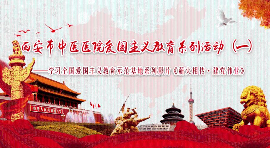 救援可爱小松鼠